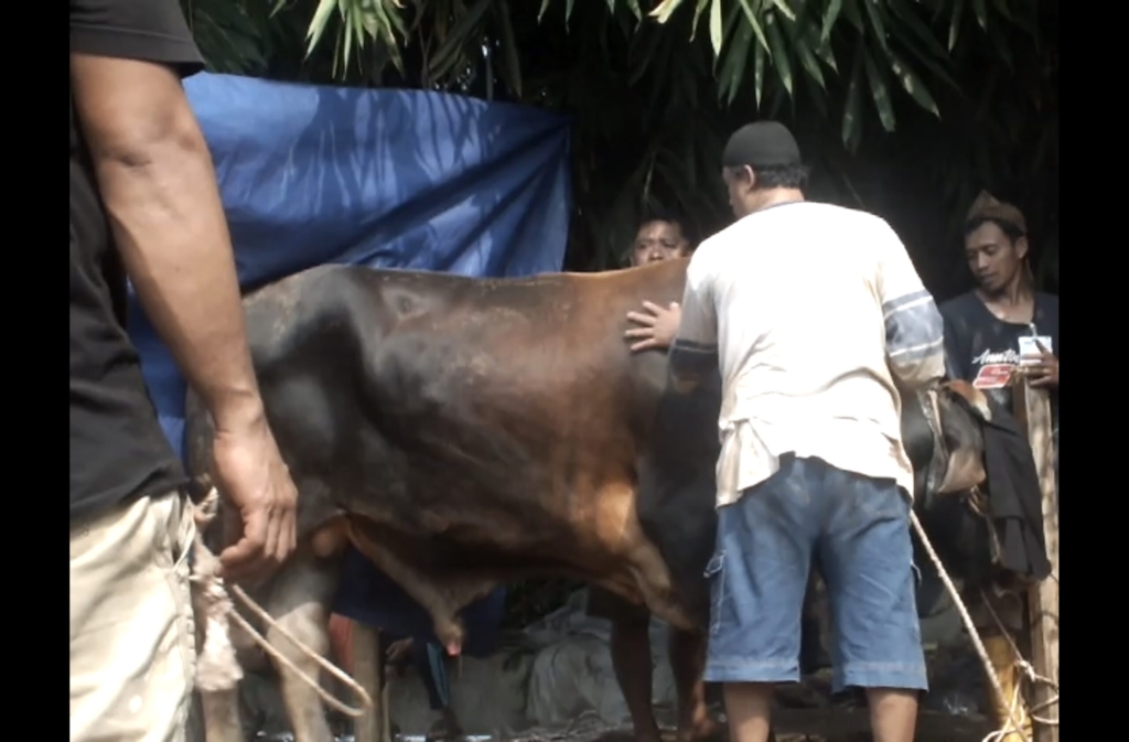 Screenshot_20250613_162855_com.huawei.himovie.overseas