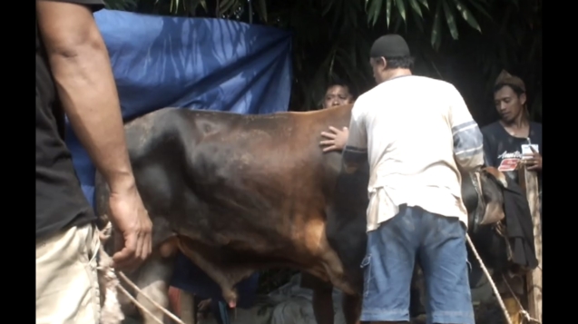 Screenshot_20250613_162855_com.huawei.himovie.overseas